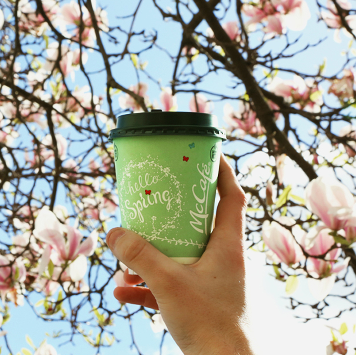 SPRING CUPS 