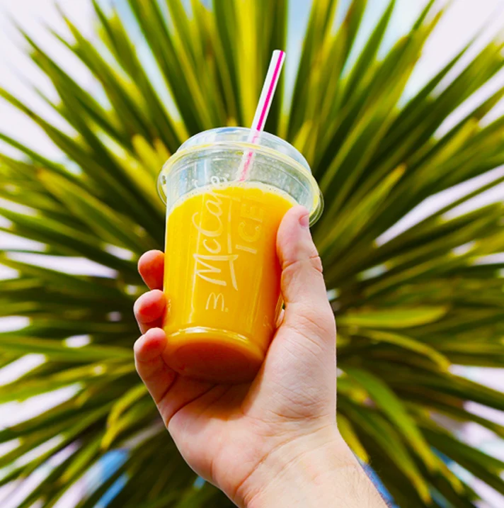 ICED FRUITE SMOOTHIE