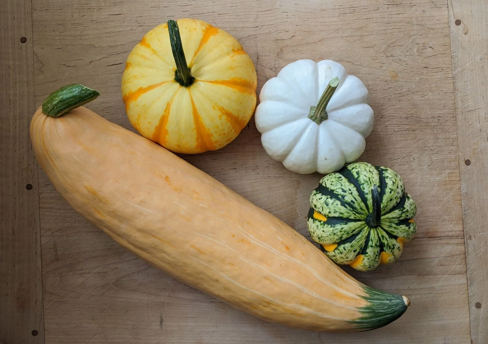 Winter Squash Mix (Copy)