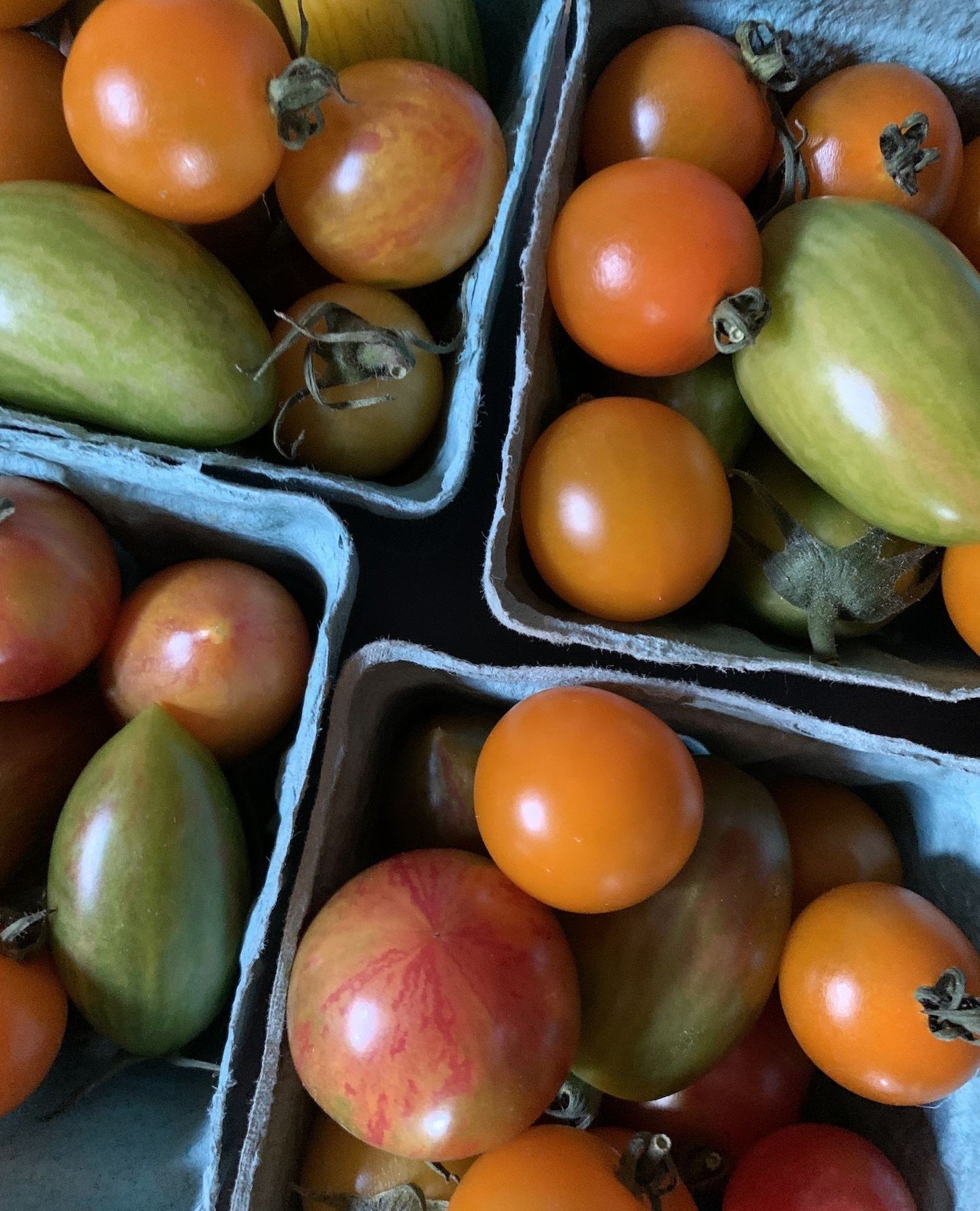 🥕🌸 LAST CHANCE ALERT: CSA memberships close on Sunday, May 11!⁠
⁠
Join our farm CSA and enjoy weekly pickups of fresh MOFGA Certified Organic veggies or flowers&mdash;grown with care right here at Wanderwood.⁠
⁠
Pickups happen Wednesdays, mid-June 