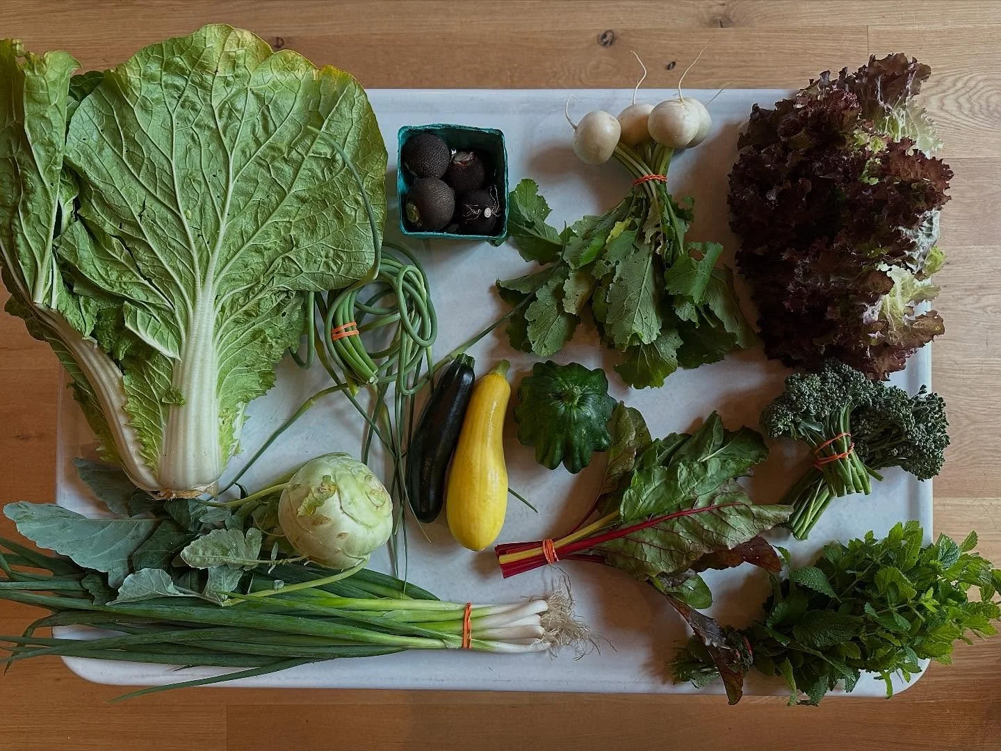 July at the farm stand is looking *abundant*. Stop on in any Wednesday between 3:30 and 6:30 and see for yourself! :)
#farmstand