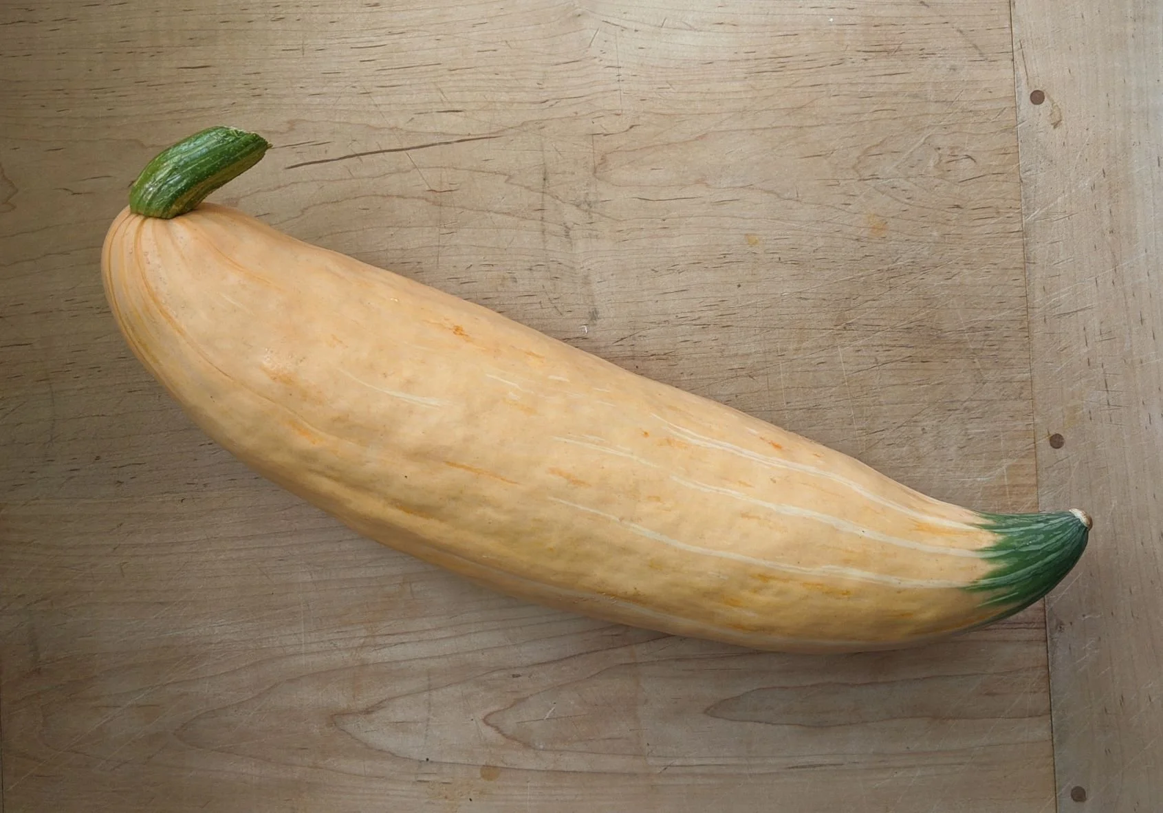 Winter Squash NGCR, Main St Grocery.jpg