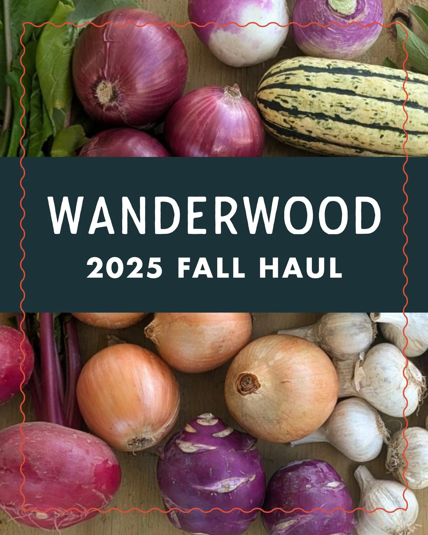 Now's your chance to join our four week Fall Produce Membership! Tap into the fall bounty of organic produce from Wanderwood with three Fall Haul share size options: ⁠
⁠
Small ($100) - lots of onions, garlic, carrots, beets, winter squash, turnips, a