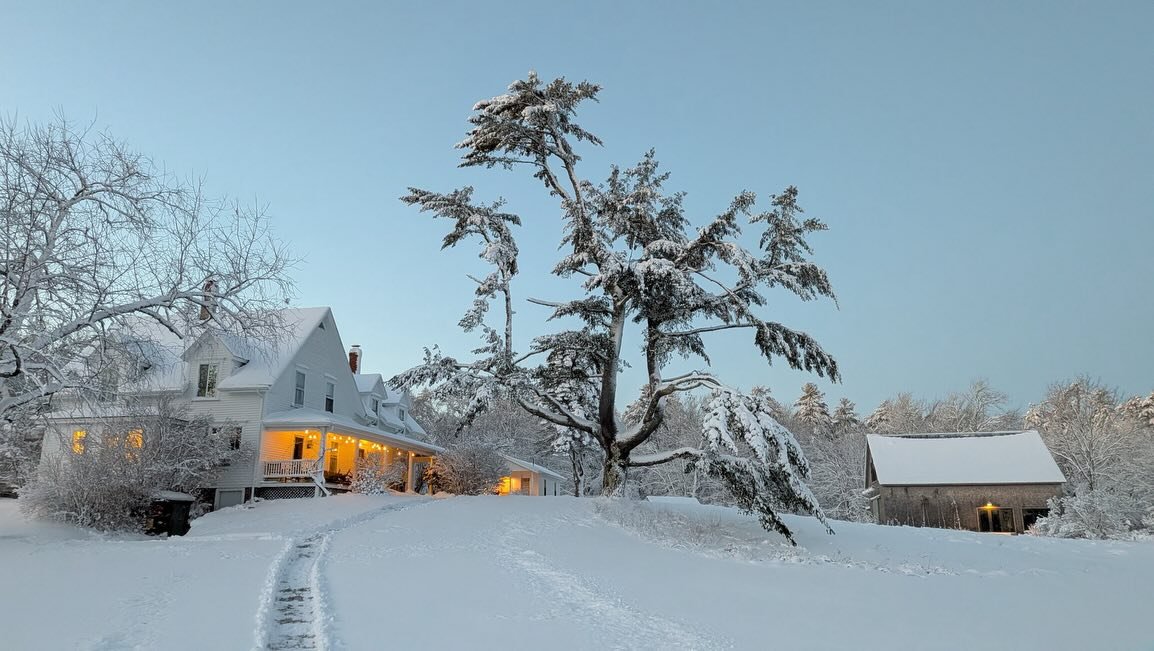 Merry Christmas from a very snowy Wanderwood ❄️