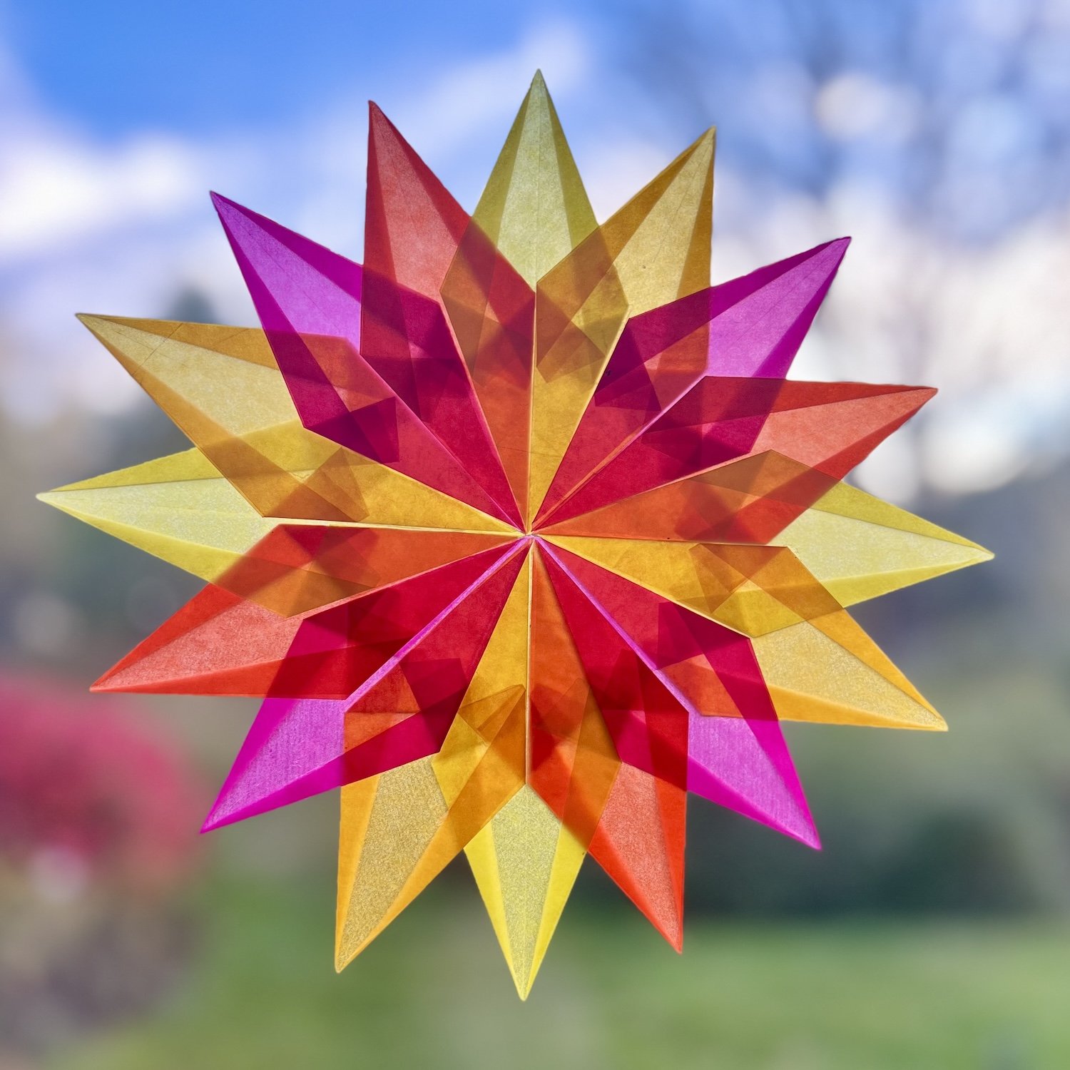 German Window Star_Web.jpg