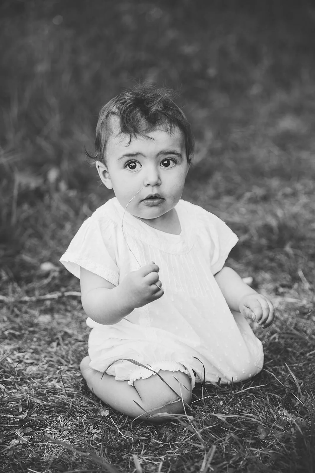 boka-familjefotografering-odd-brown-bird-nacka.jpg