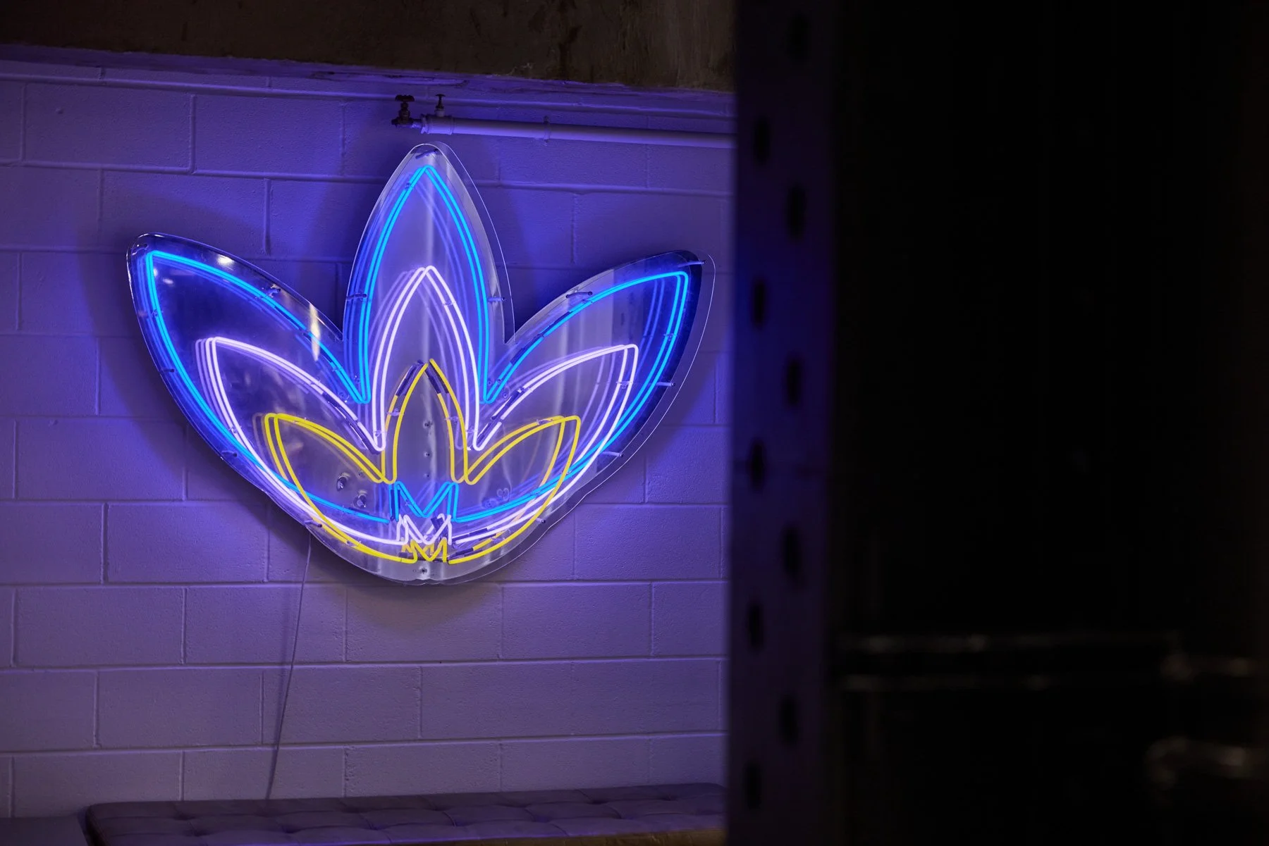 Adidas Flagship Store Archive Photography