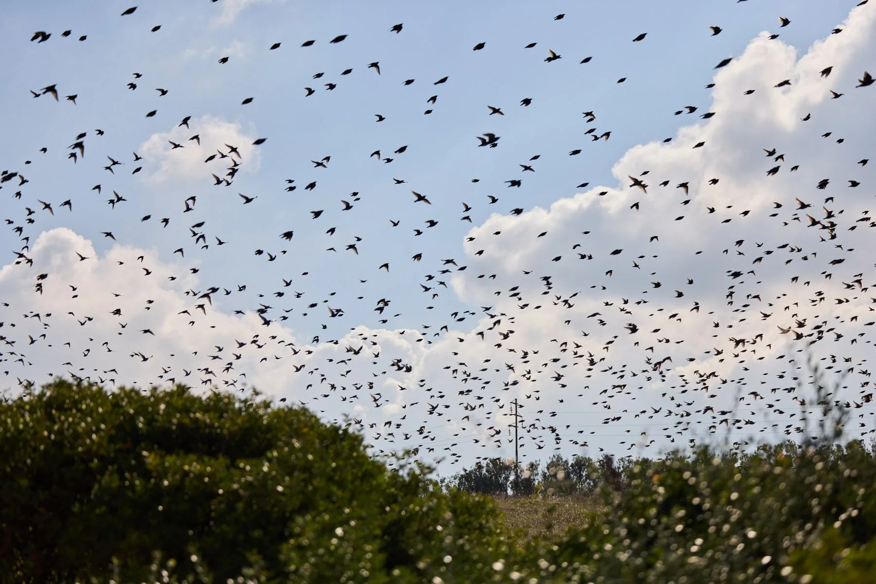 Styled event details and atmosphere elements