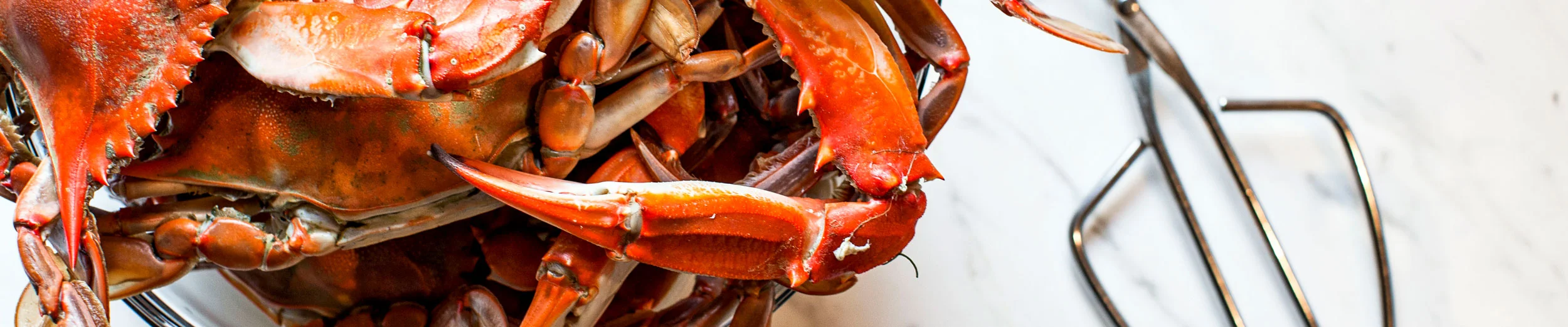 lifestyle-crab-4854-2500x521.jpg
