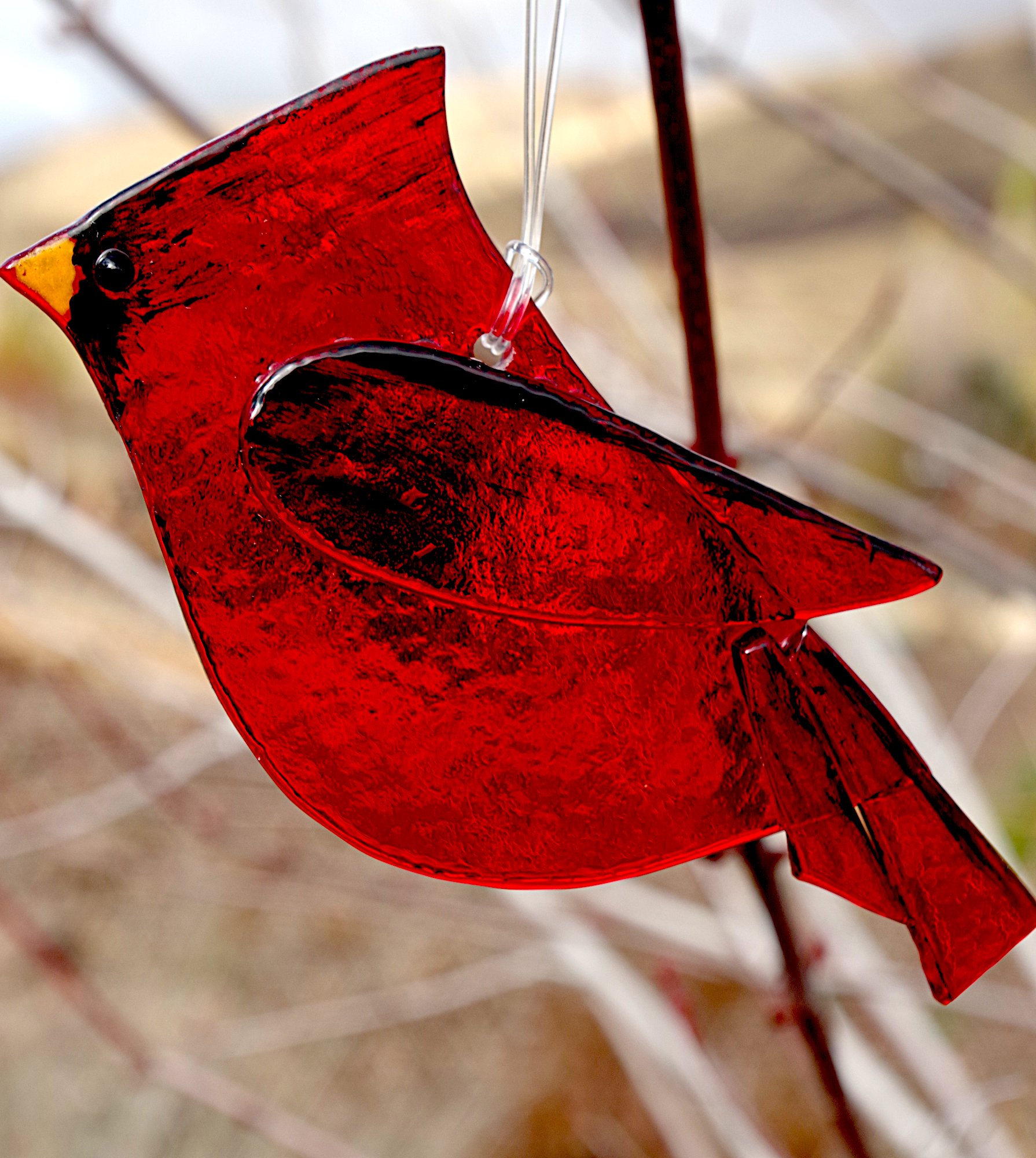 IMGP4343a (copy).JPG