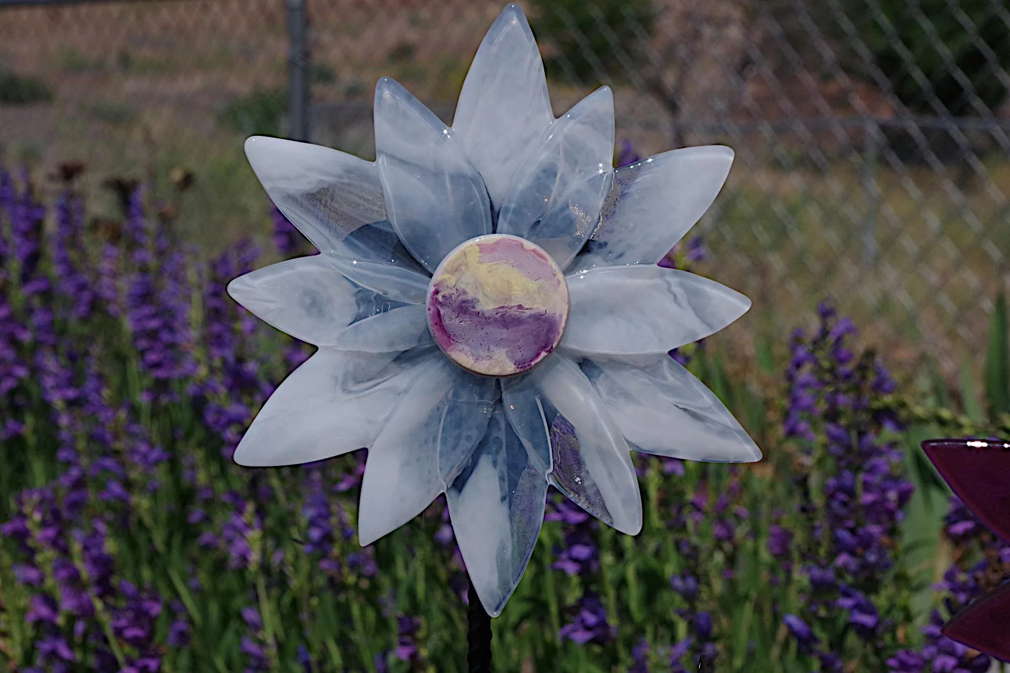 white flowera.jpg
