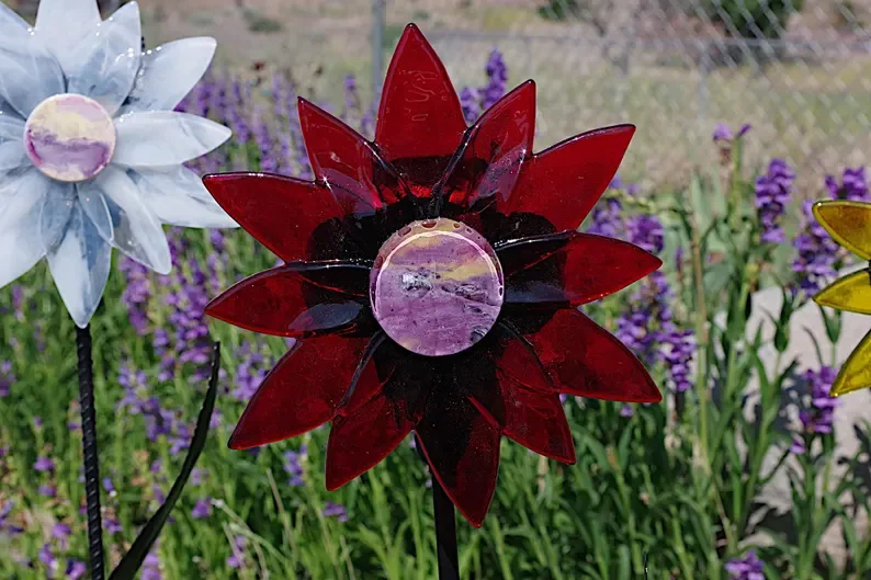 colorfullarge flower.webp