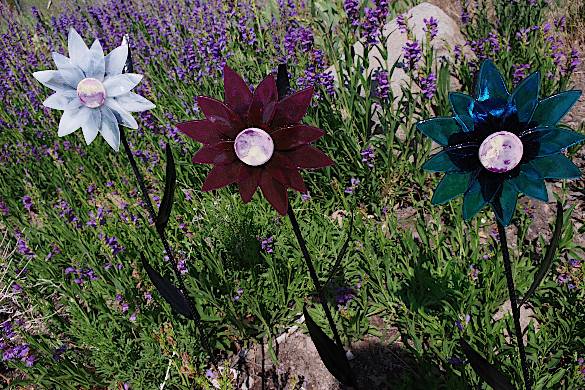 IMGP4159a.JPG (Copy)