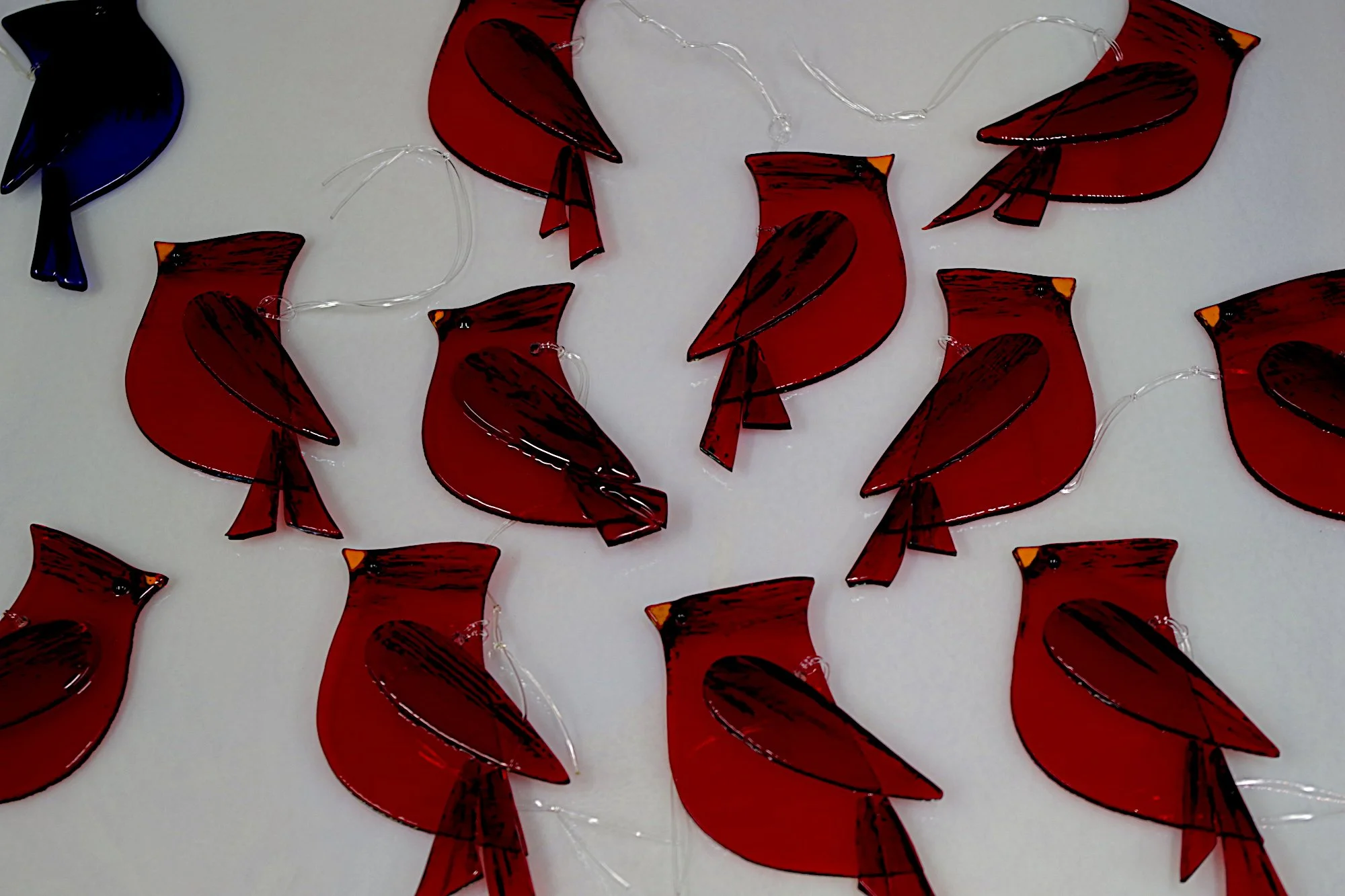 IMGP4321a (copy).JPG