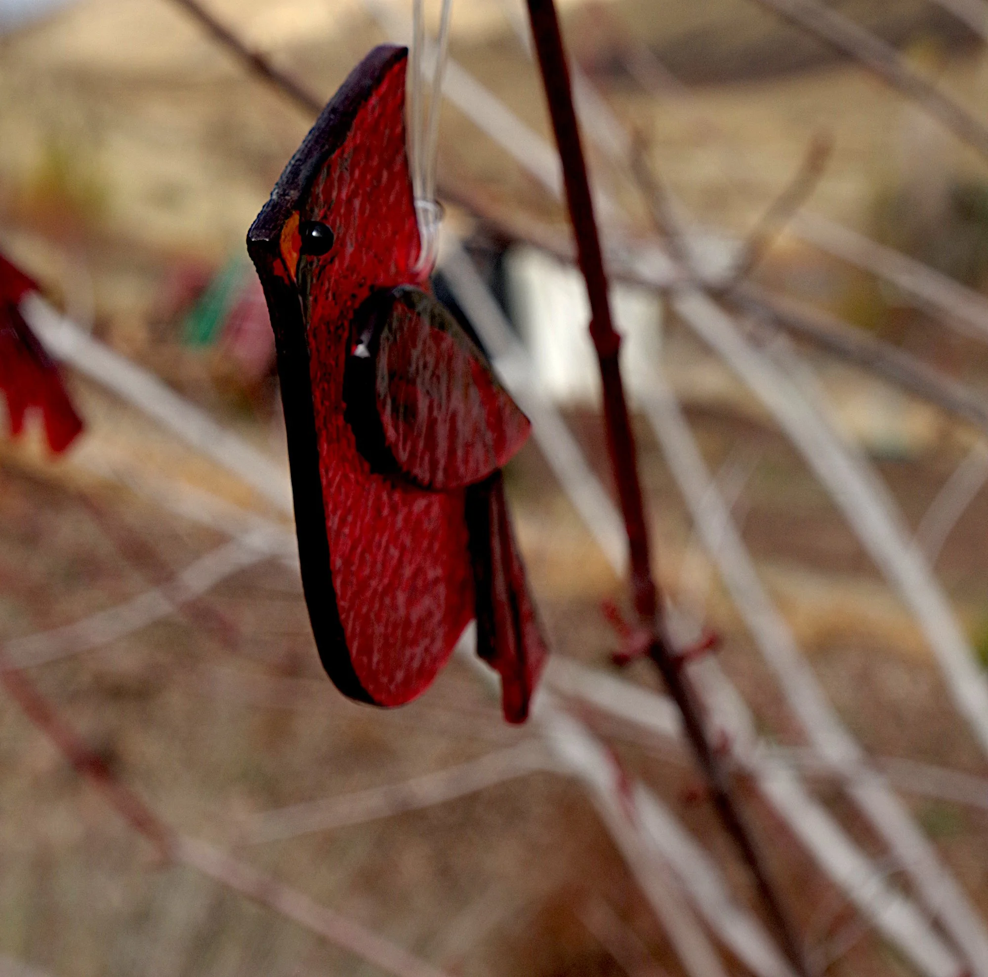 IMGP4344a (copy).JPG