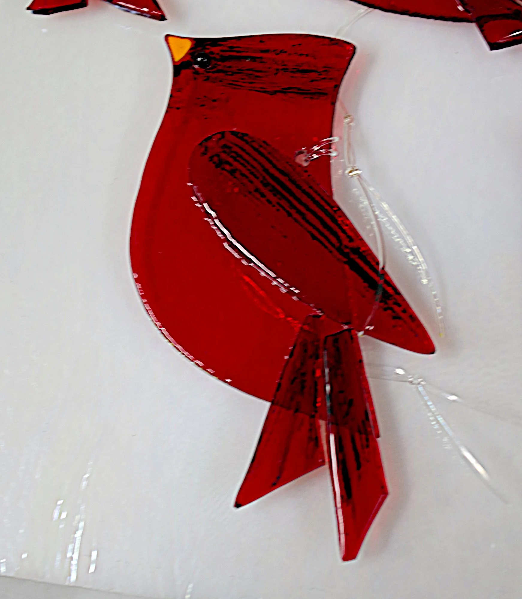 IMGP4323a (copy).JPG