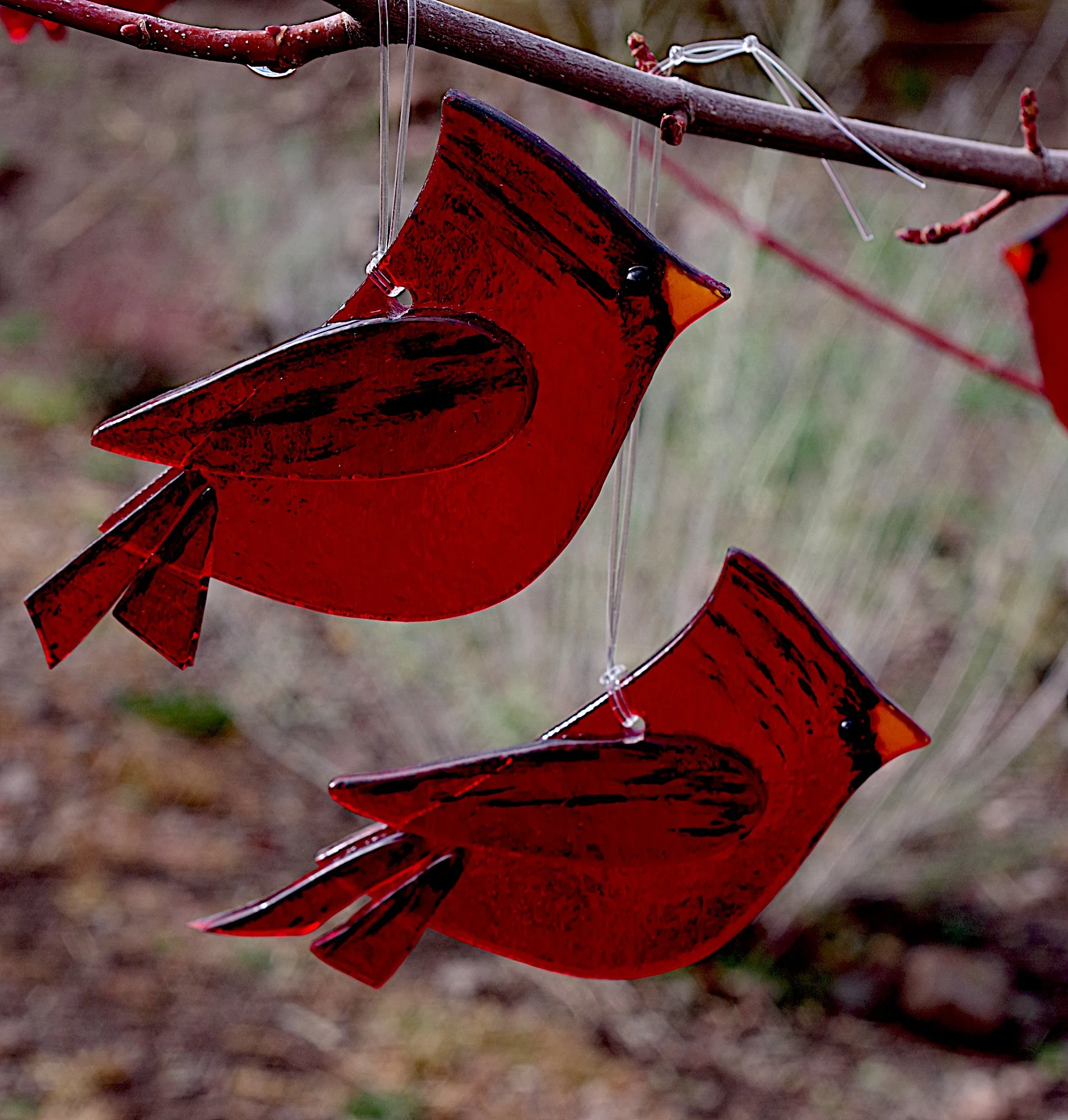 IMGP4338a (copy).JPG