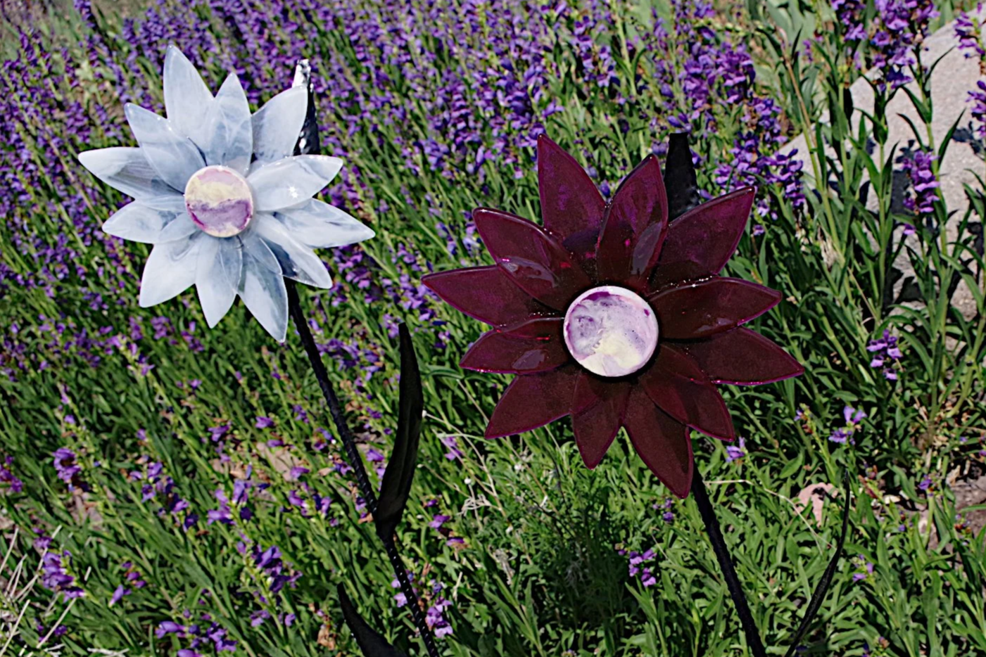 IMGP4159a.png