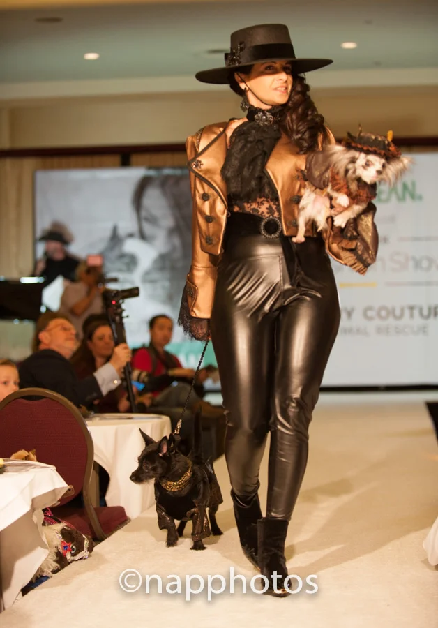 DSC_3731.jpg