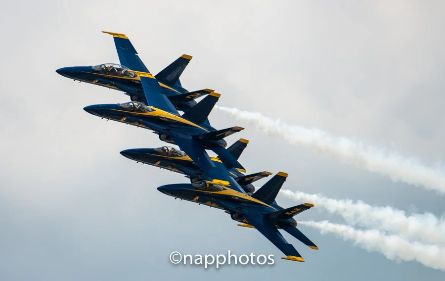 _DSC3165.jpg