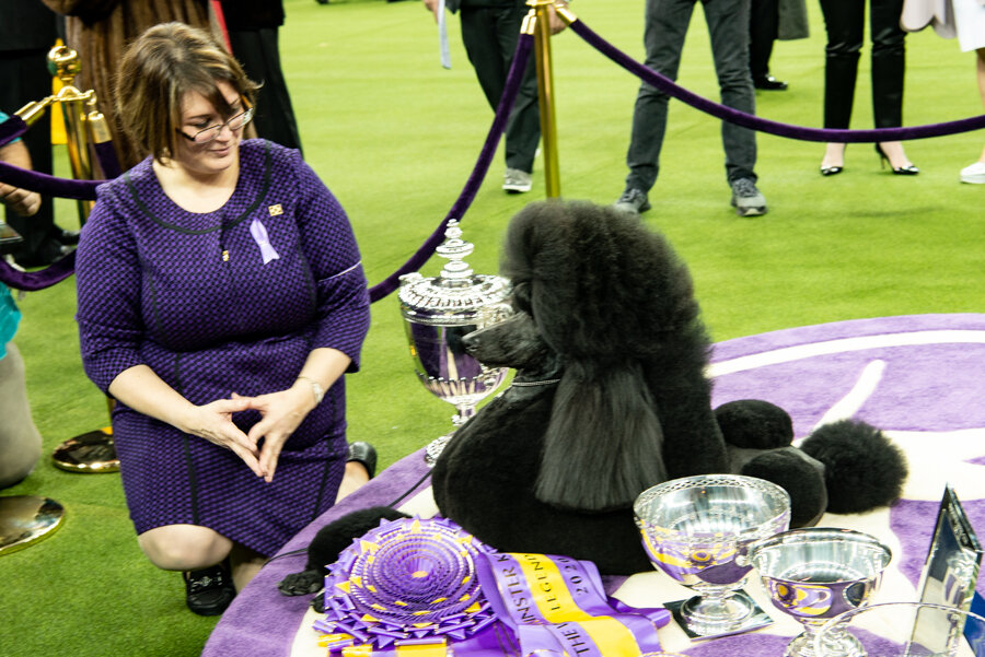 2020-Westminster Kennel Club