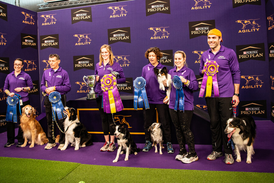 2020 Agility-Westminster Kennel Club