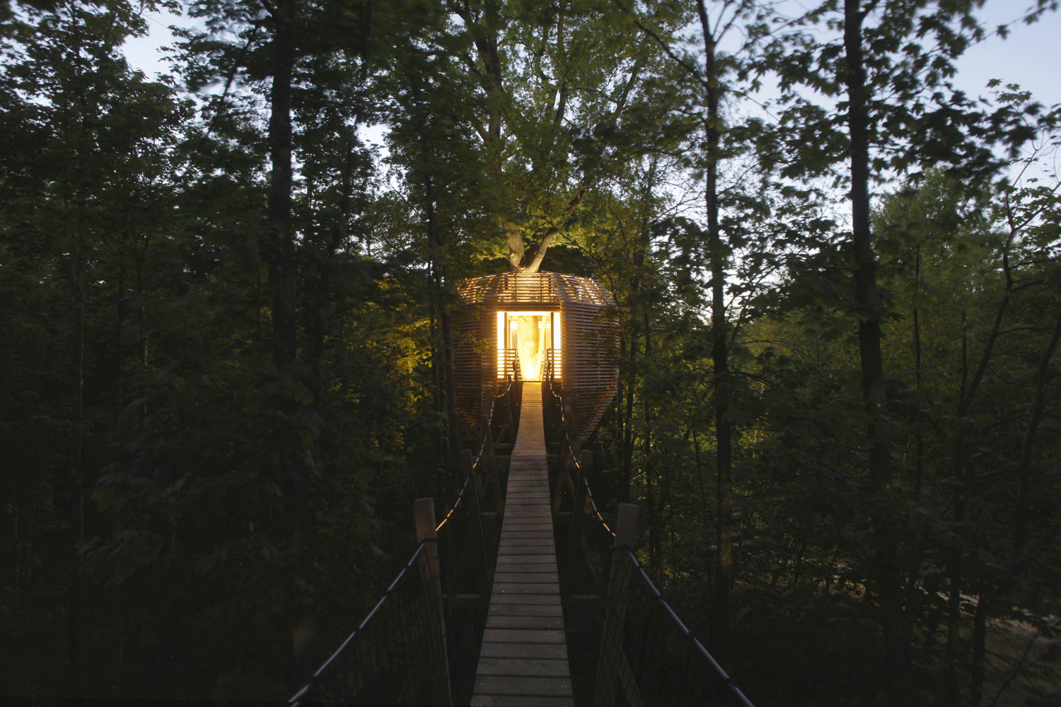 Atelier LAVIT - ORIGIN trees house 14.gif