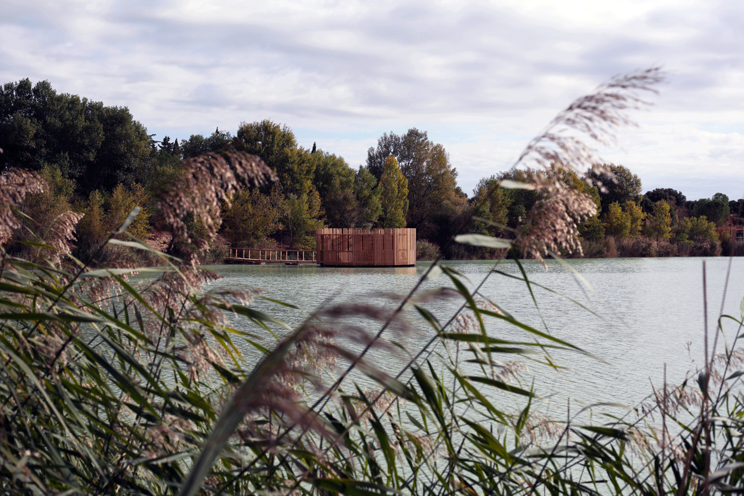 Atelier LAVIT - GCP - Eco Domaine 1.gif