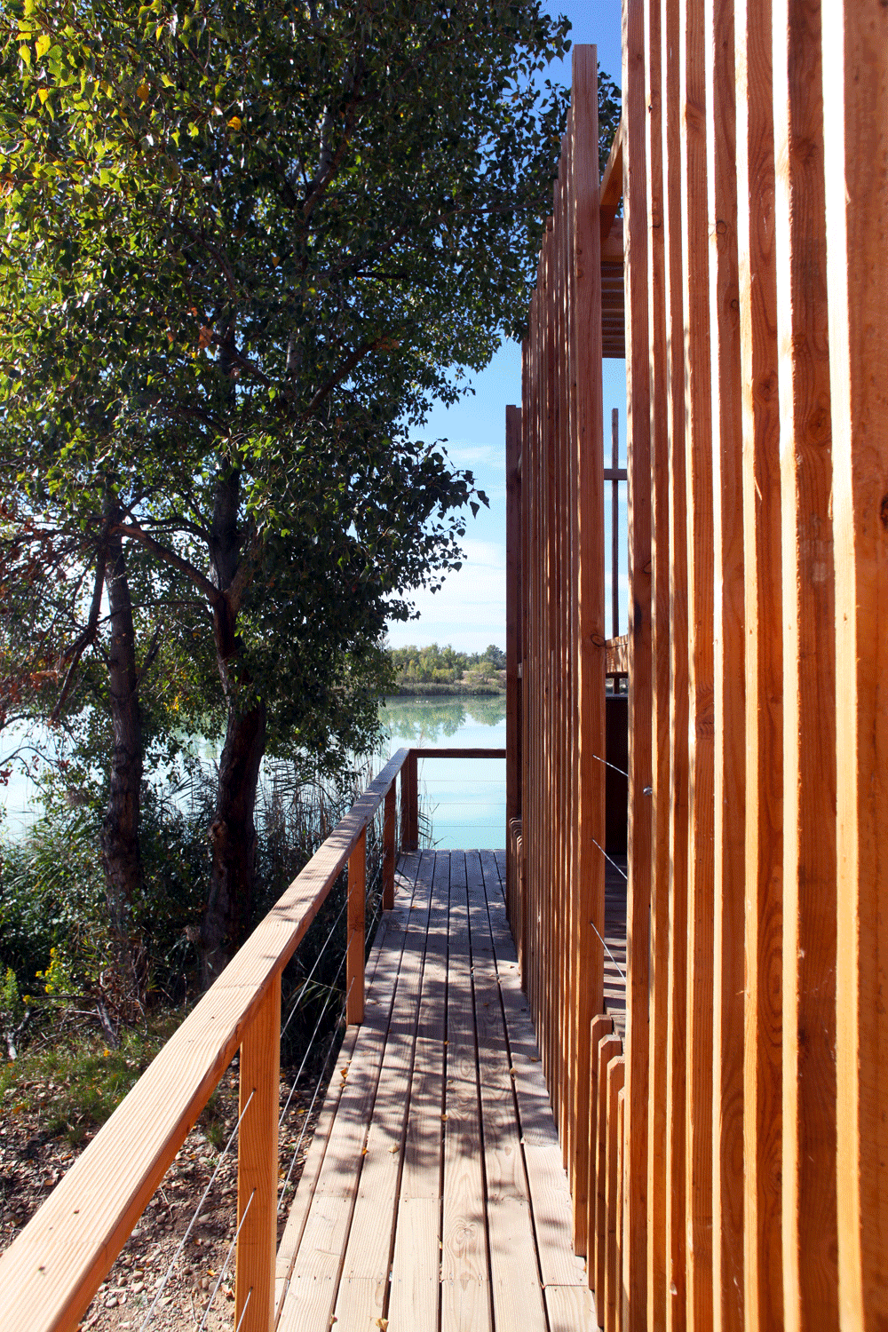 Atelier LAVIT - GCP - Eco Domaine 15.gif