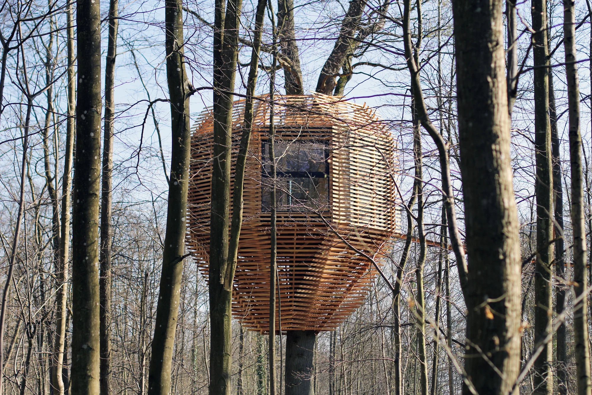 Atelier LAVIT ORIGIN tree house 16.jpg