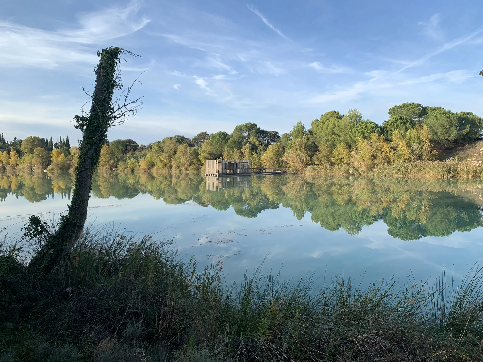 Atelier LAVIT - GCP autumn 3.JPEG