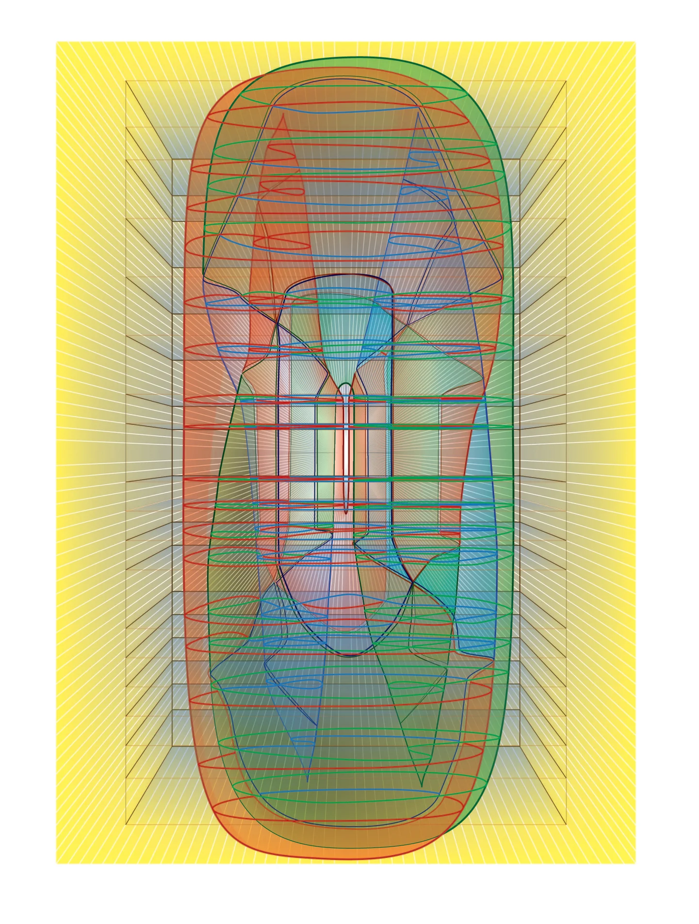 Scott Carter's Two-Twist Spun Trefoil Knot  (Copy)