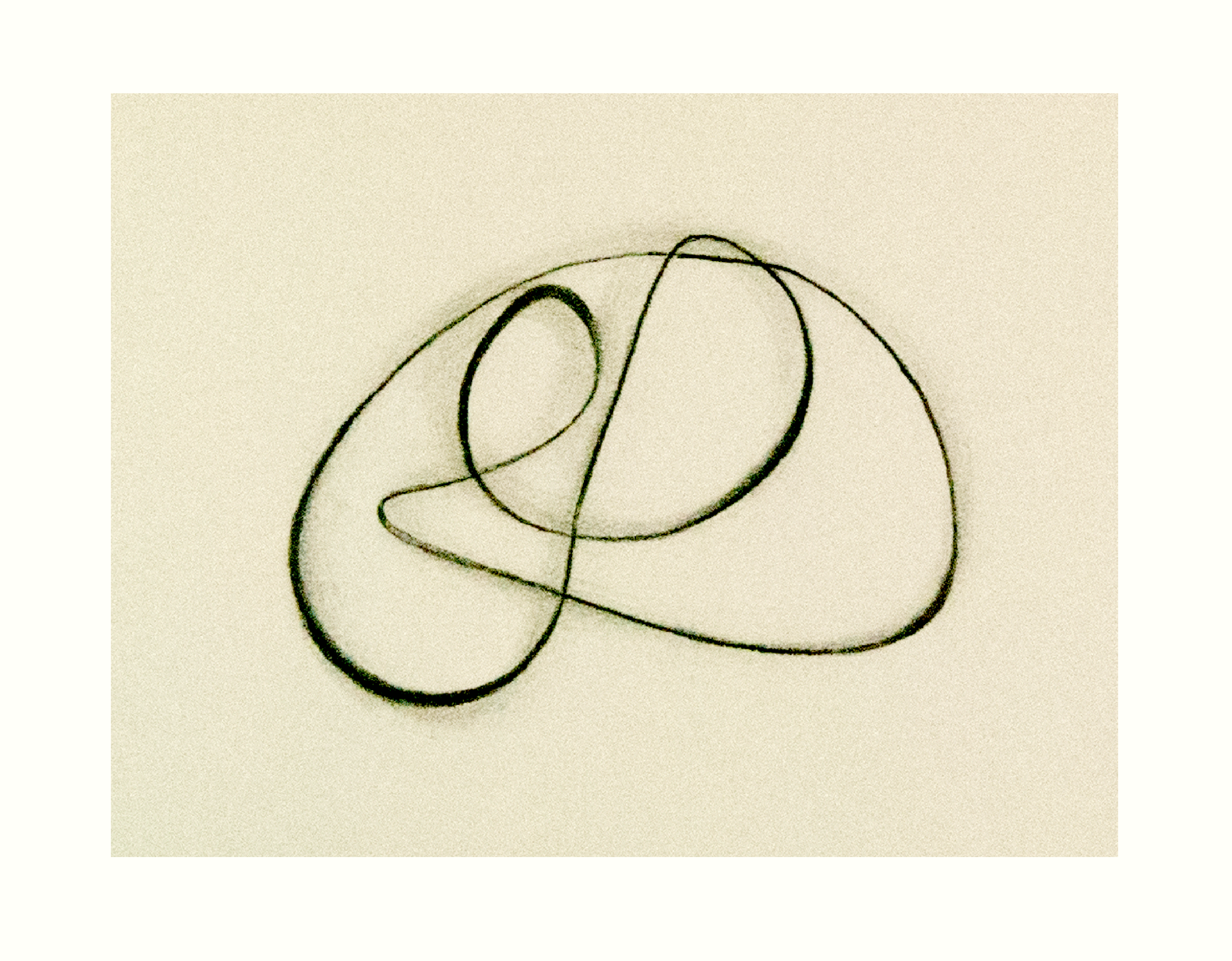 Gentle Klein Doodle (Copy)