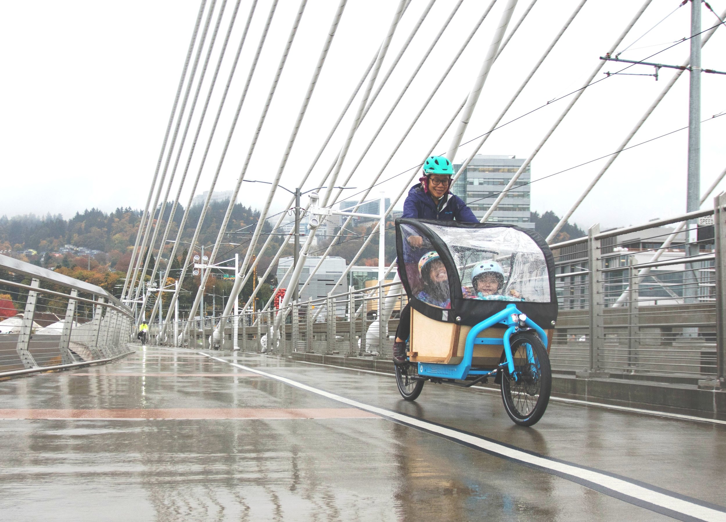 Shop » Larry vs Harry.DE (BULLITT Cargobike Shop by Punta Velo