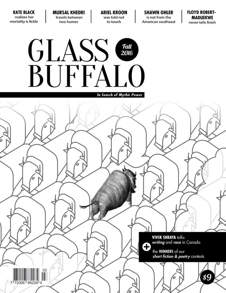 Glass Buffalo Fall 2016