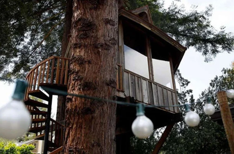 The San Francisco Chronicle: A Treehouse of One’s Own