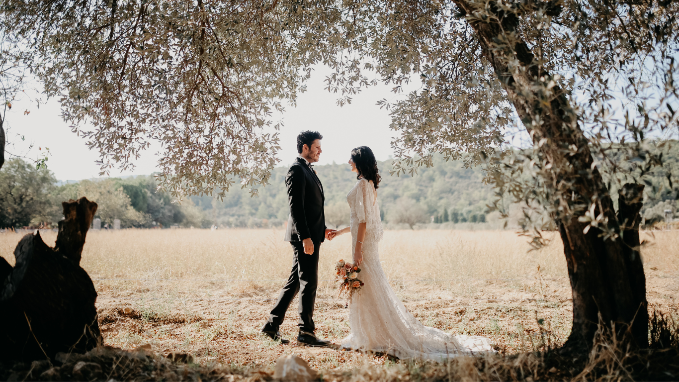 tree new website.png