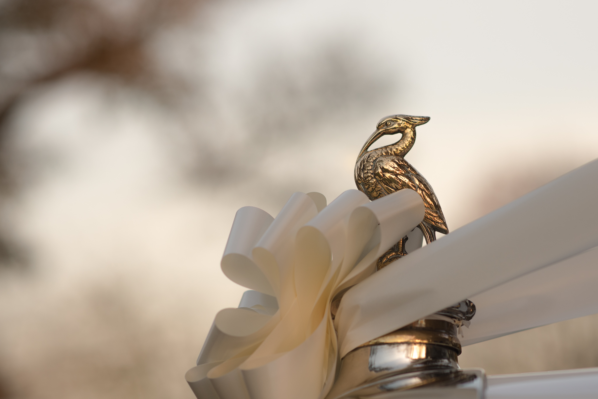 Weddings_by_David_Ellard-11.jpg