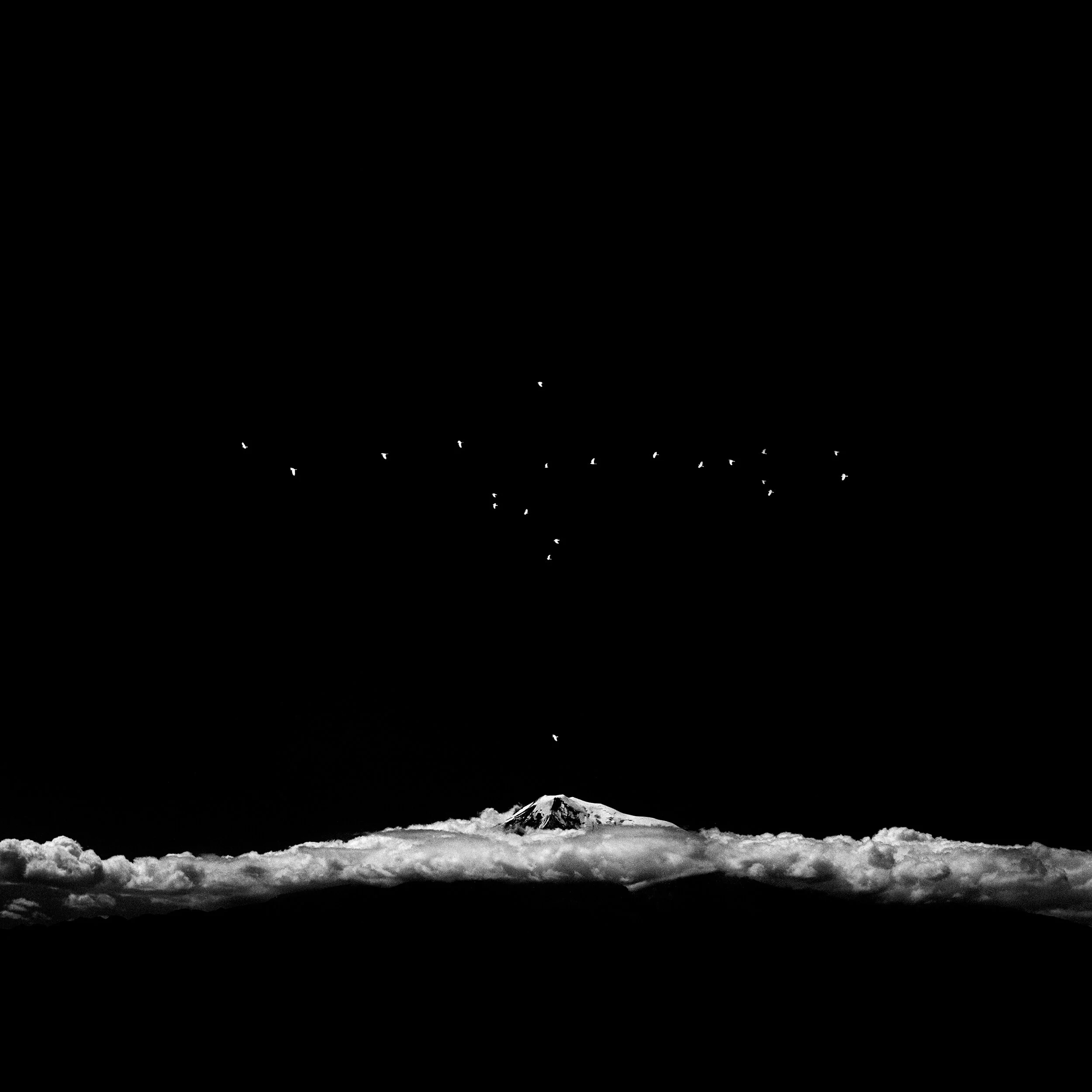 Starlings Over Ararat