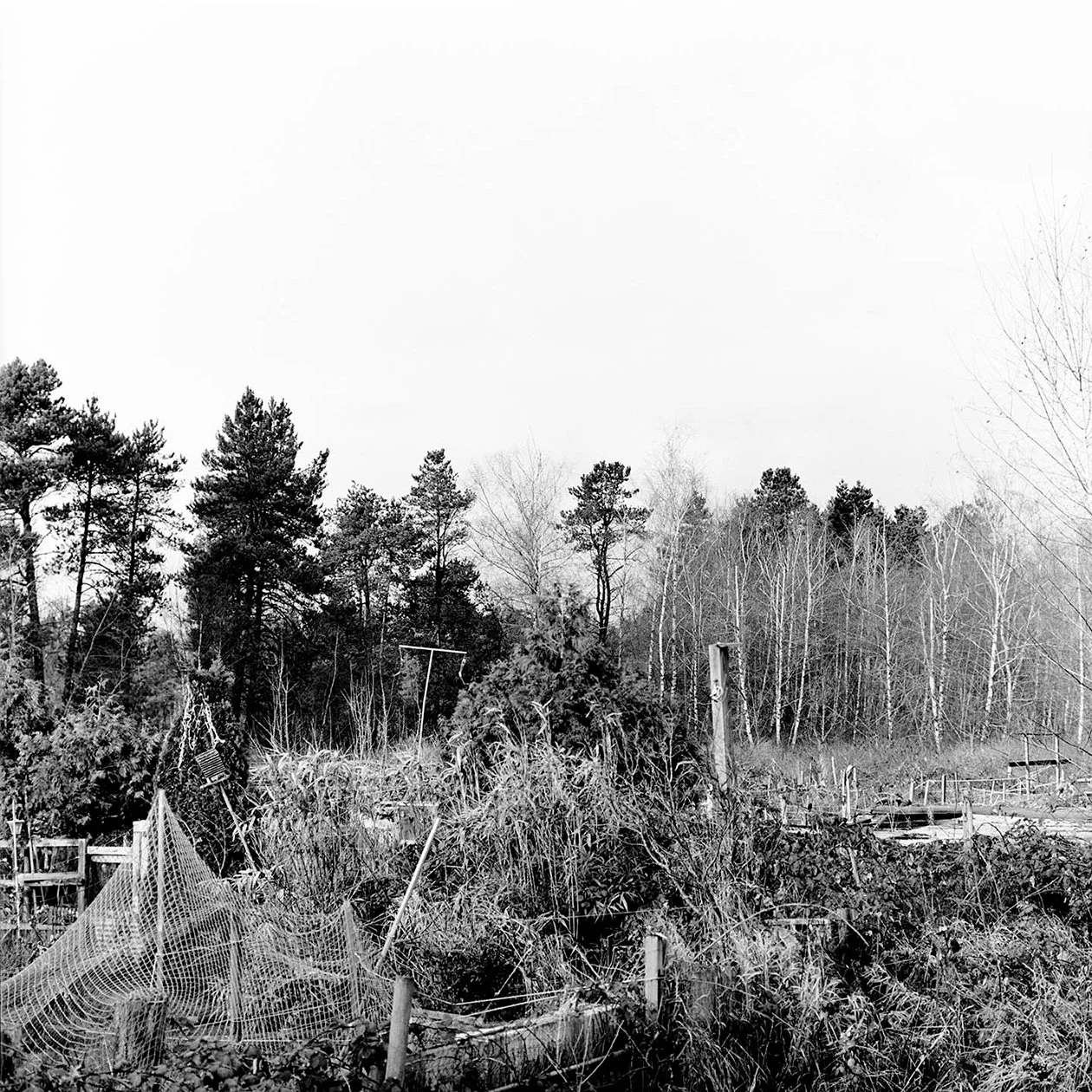 01backyard-4.jpg