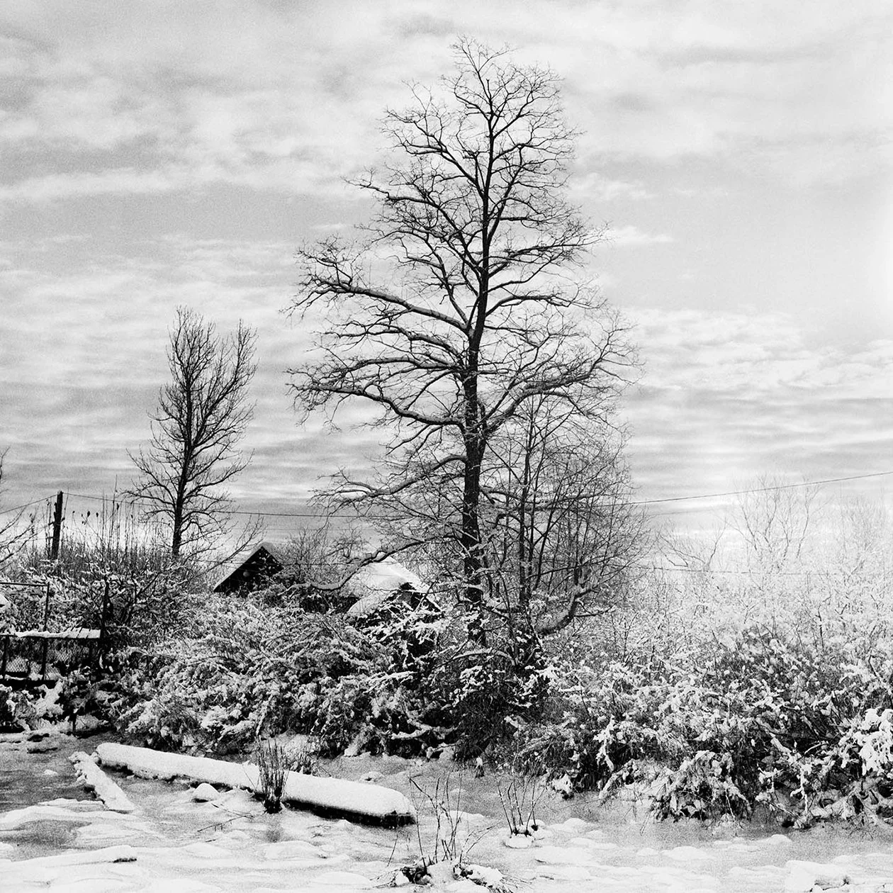 WINTER FREEZE, FINN SLEOUGH