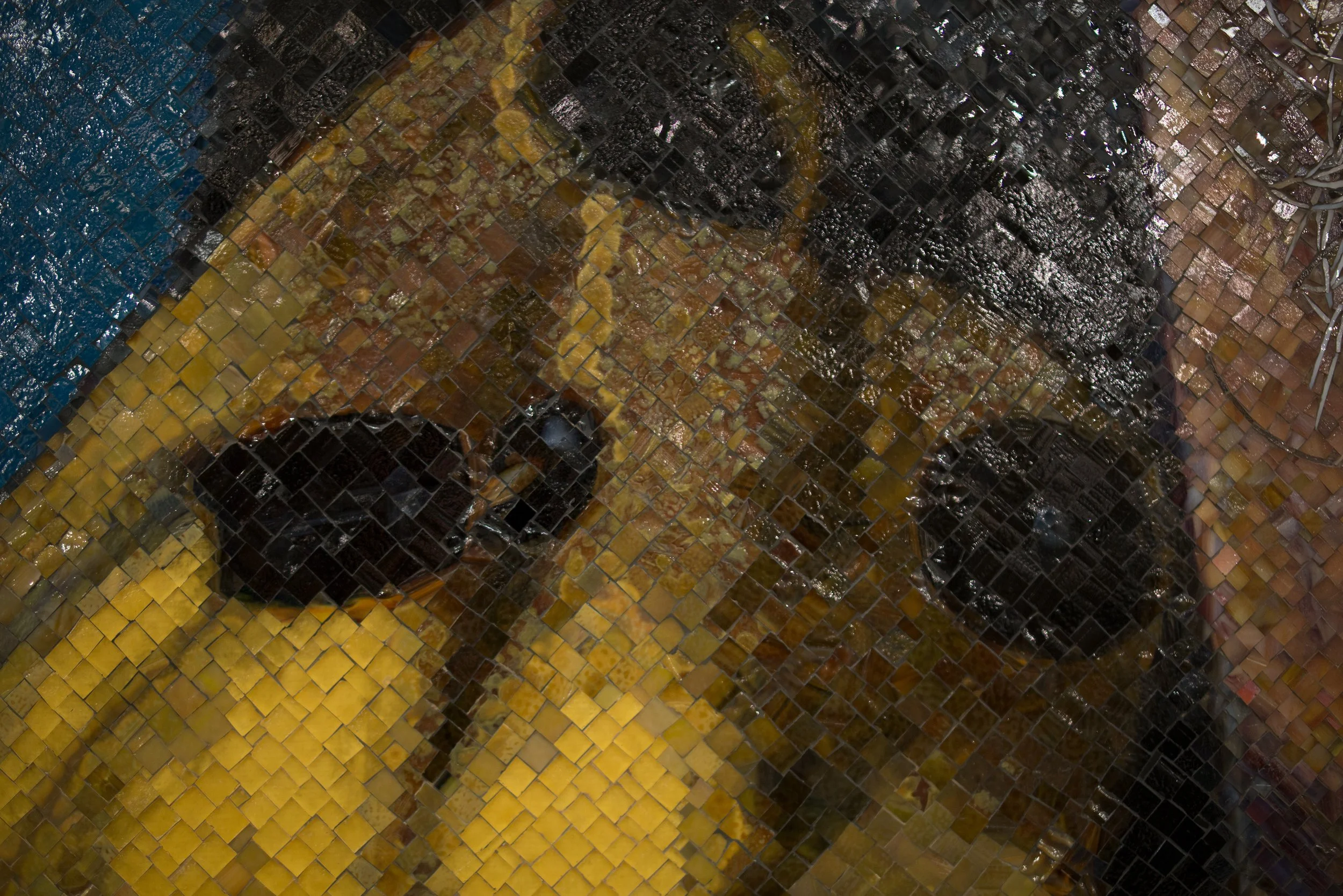 Yellow-Raincoat35.jpg