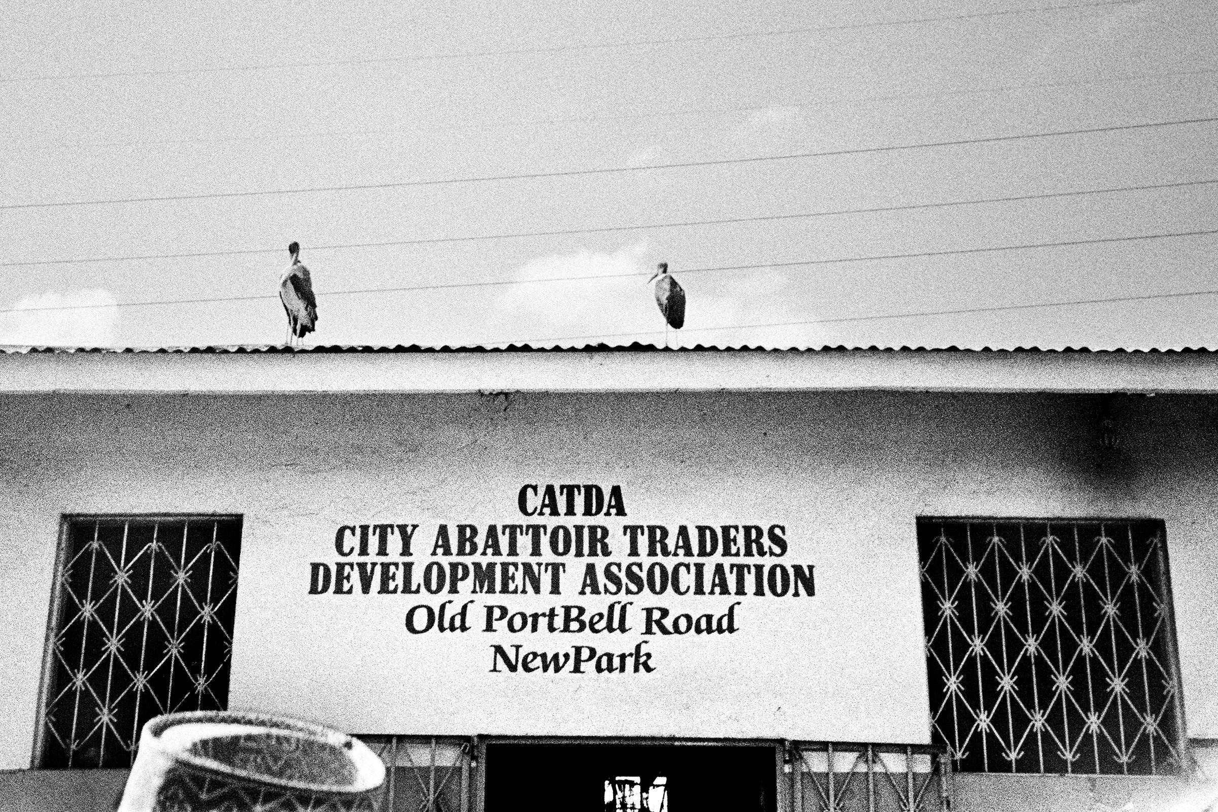 City Abattoir Development Association