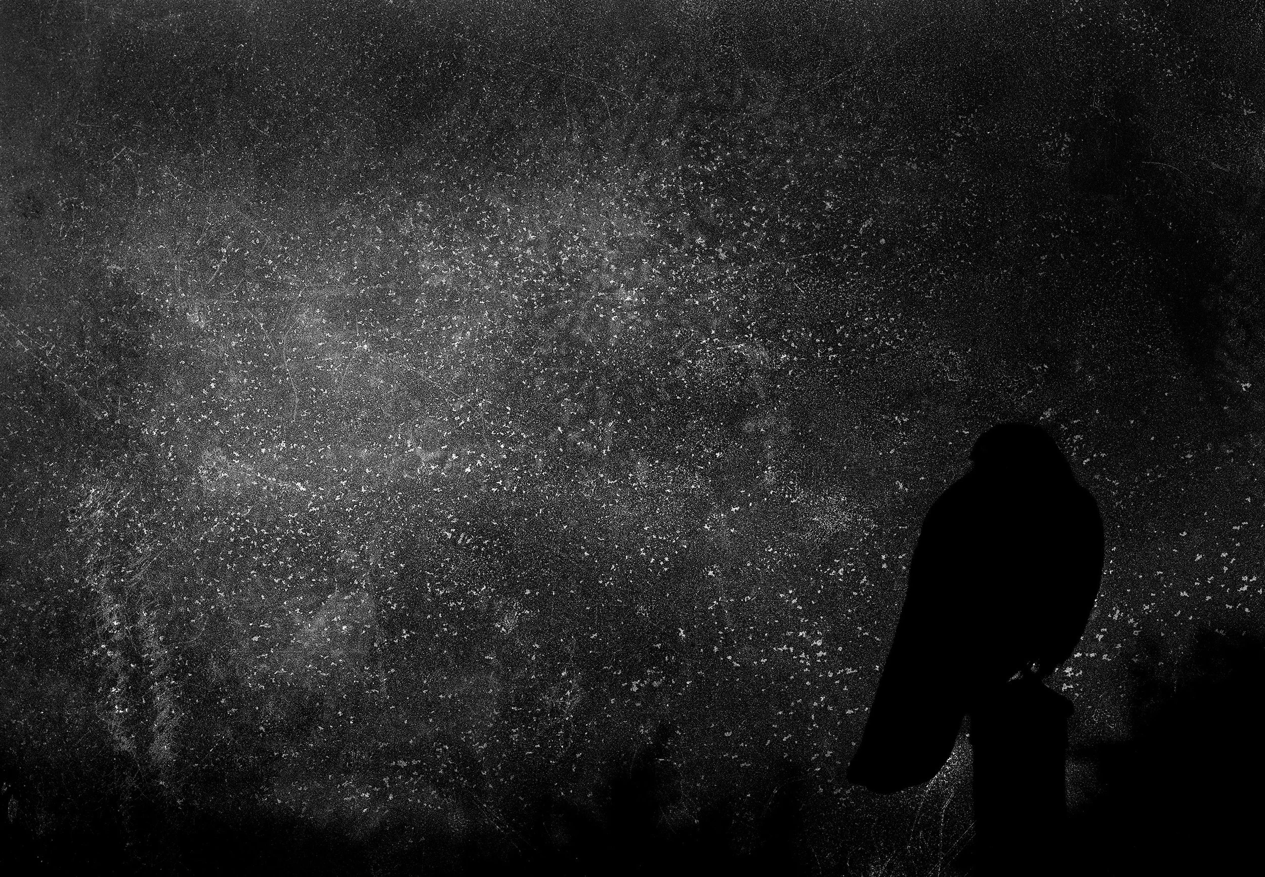THE CROW