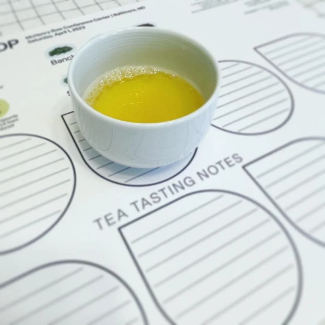 [April 1, 2023] Ryokucha (Japanese Green Tea) Workshop in Baltimore