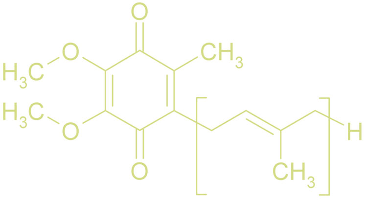 Coenzyme-Q10-antioxidant.jpg
