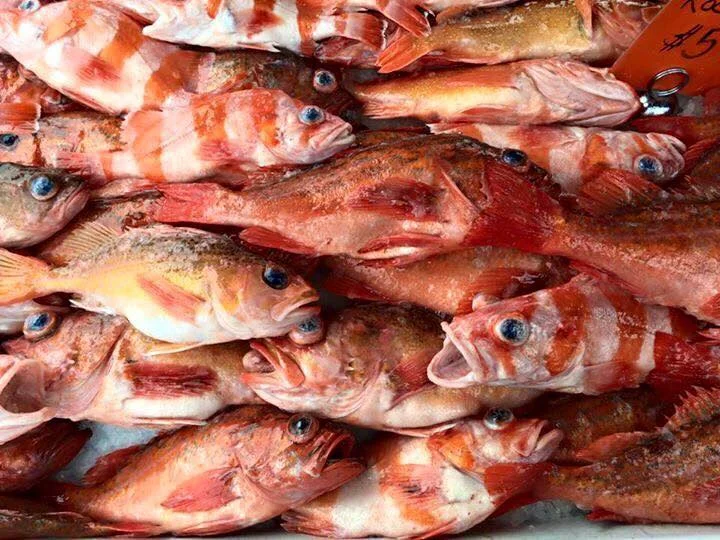 Keep San Diego Seafood Local