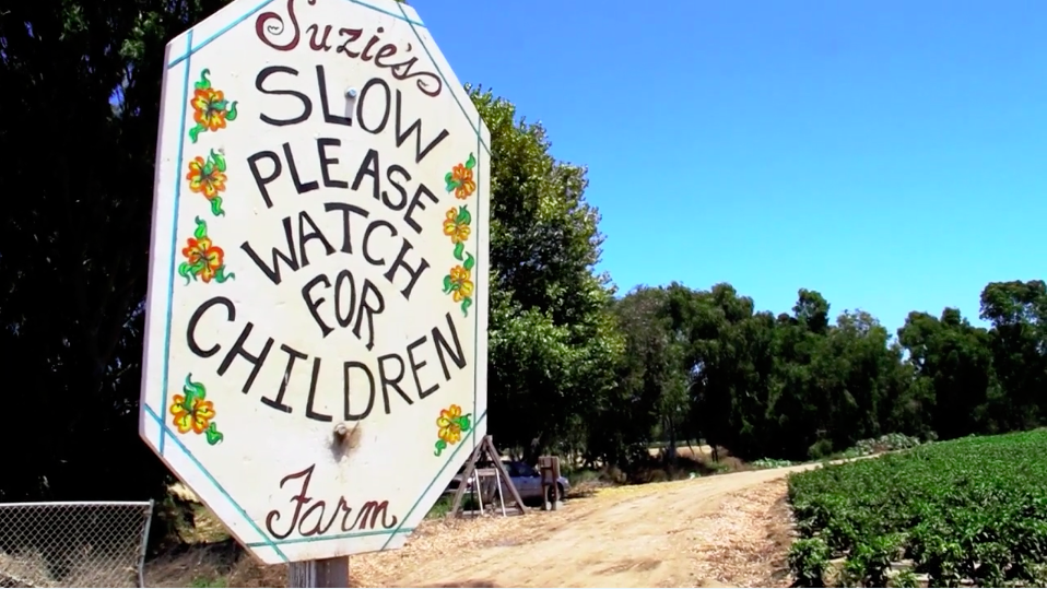 Digital Coversation with Robin and Lucila of Suzie's Farm