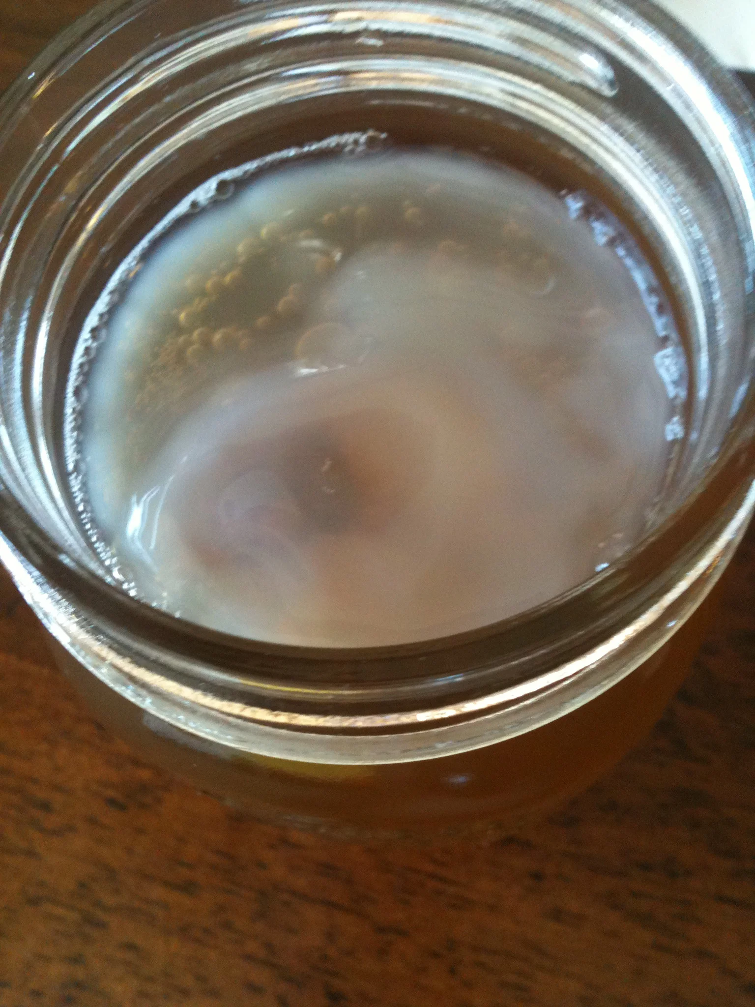 Fermenting frenzy in my fridge