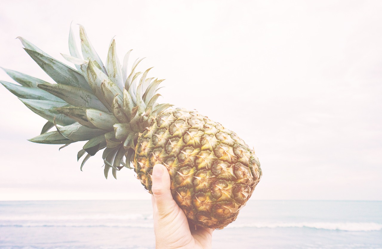 pineapple-918690_1280.jpg
